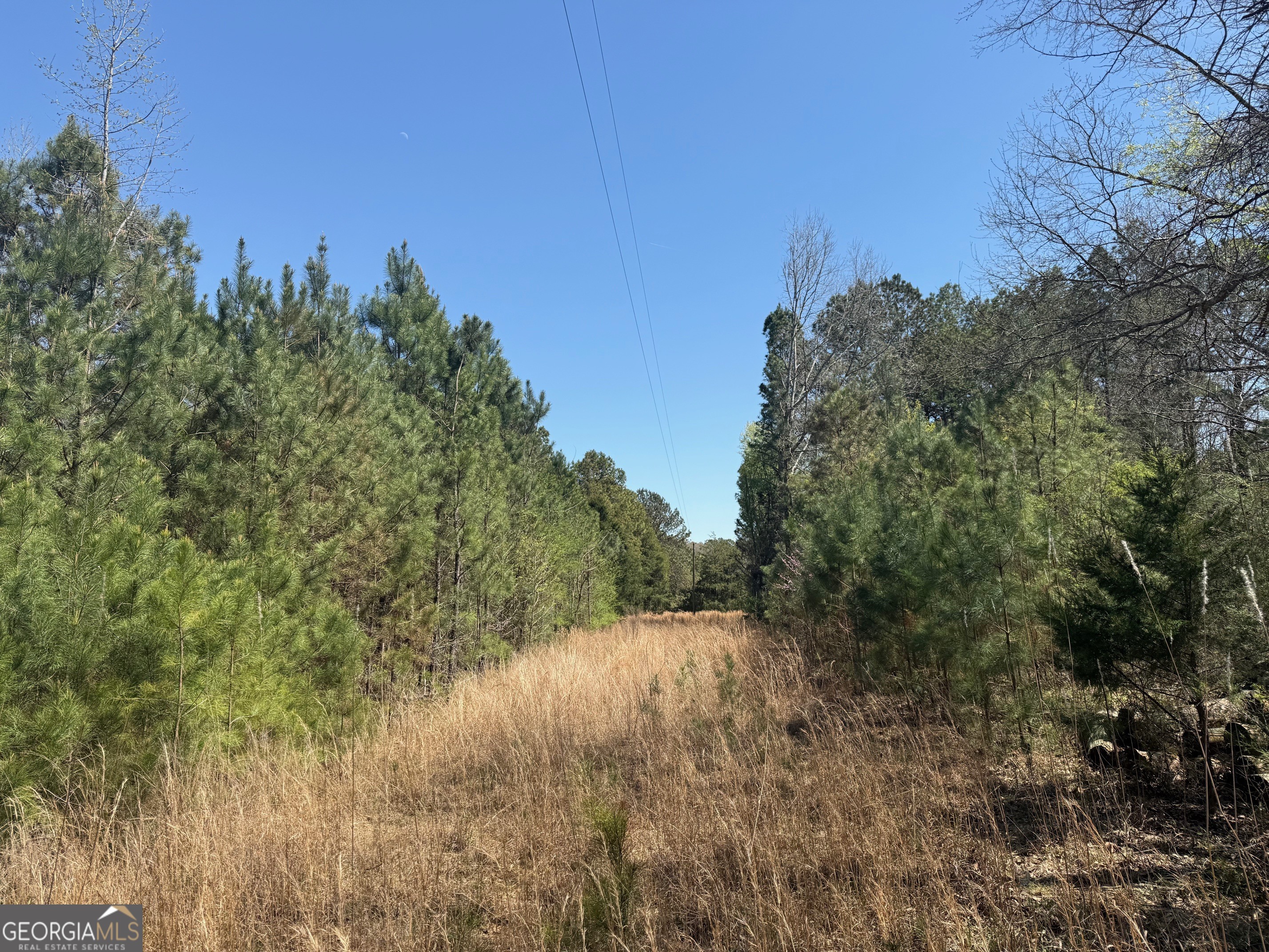 78 Mullinax Road Taylorsville GA 30178