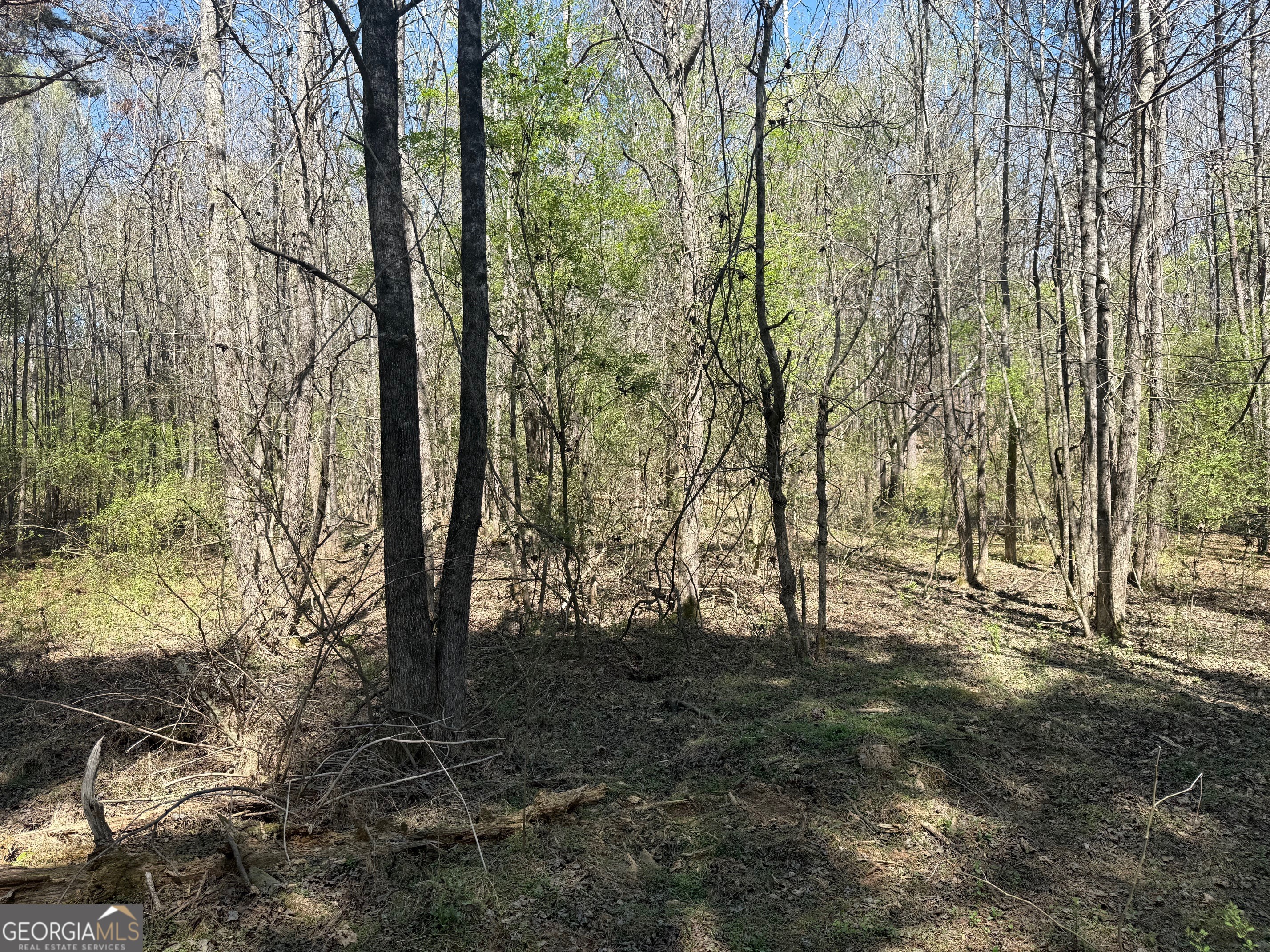 78 Mullinax Road Taylorsville GA 30178