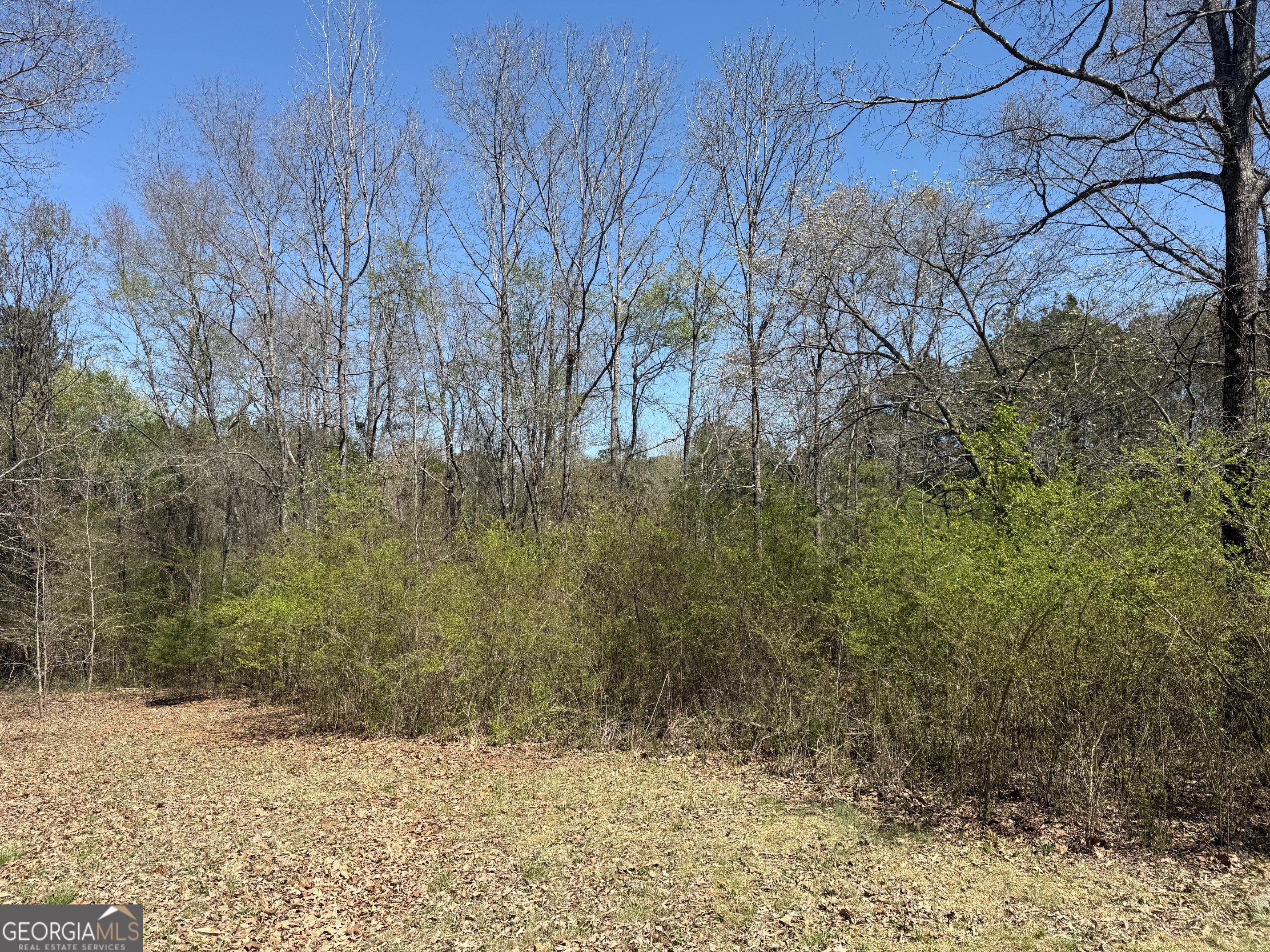78 Mullinax Road Taylorsville GA 30178