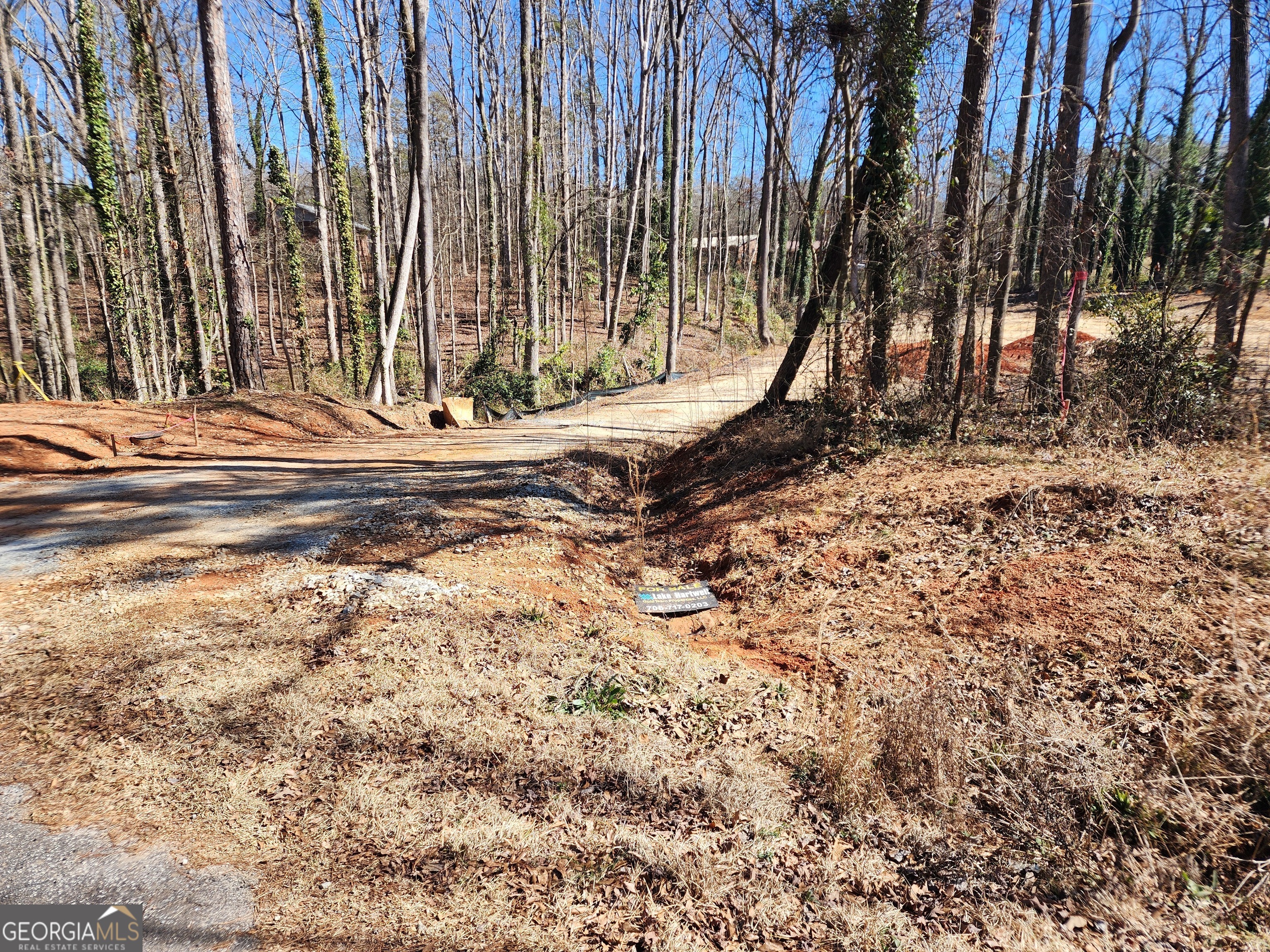 8B Forest Creek Circle Hartwell GA 30643