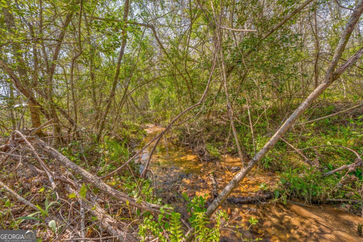 365 Waters Road Mccaysville GA 30555