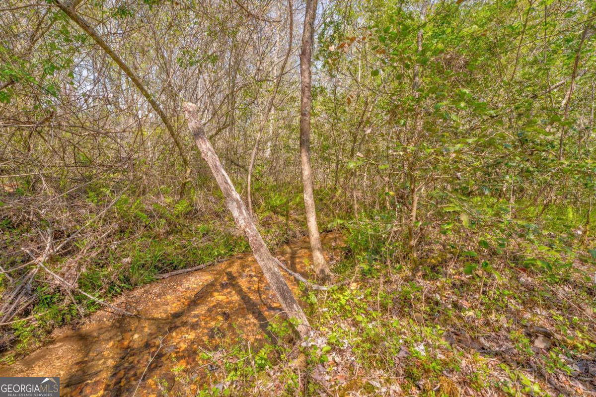 365 Waters Road Mccaysville GA 30555
