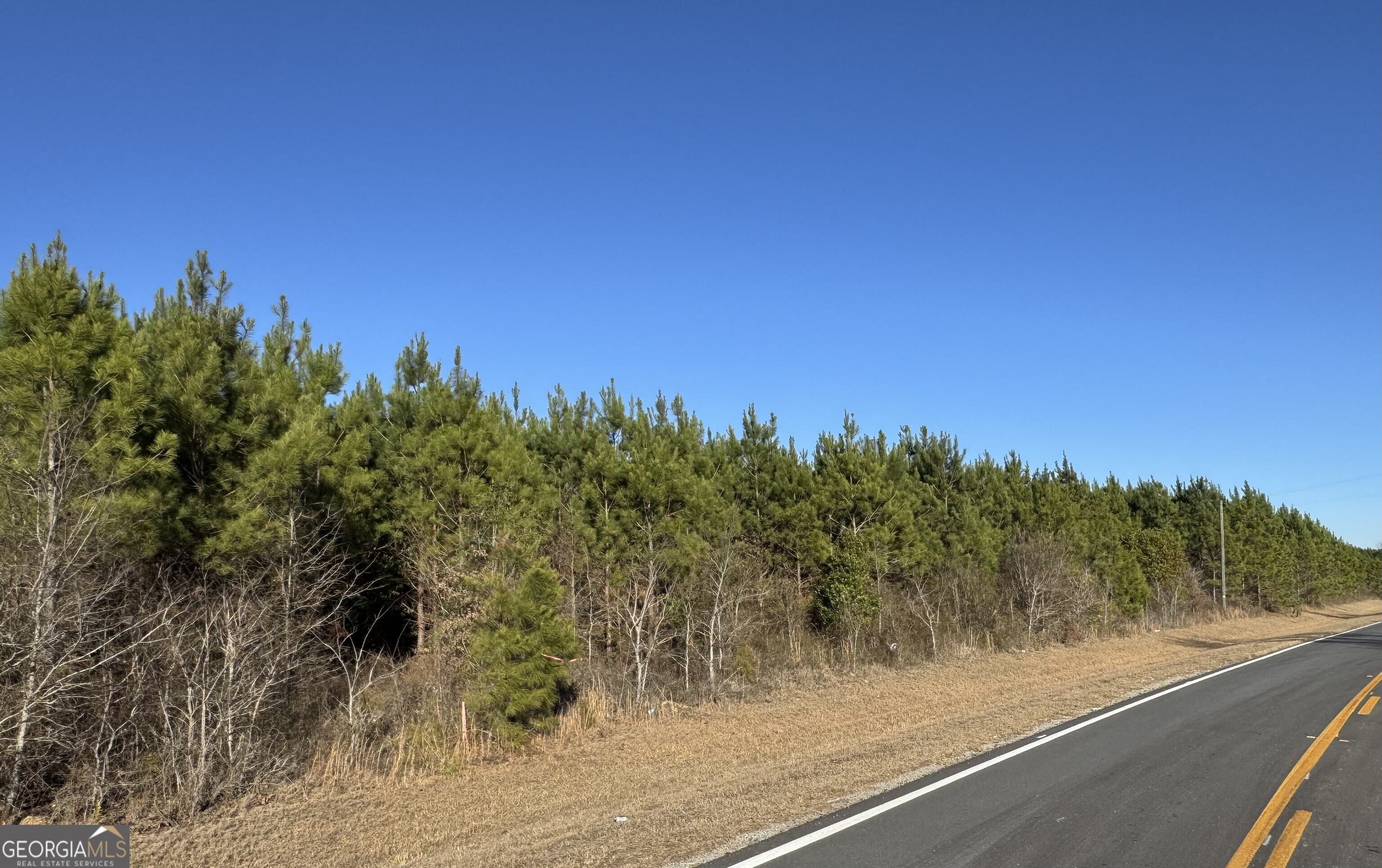 Lot 3a Whitfield Road Elko GA 31025