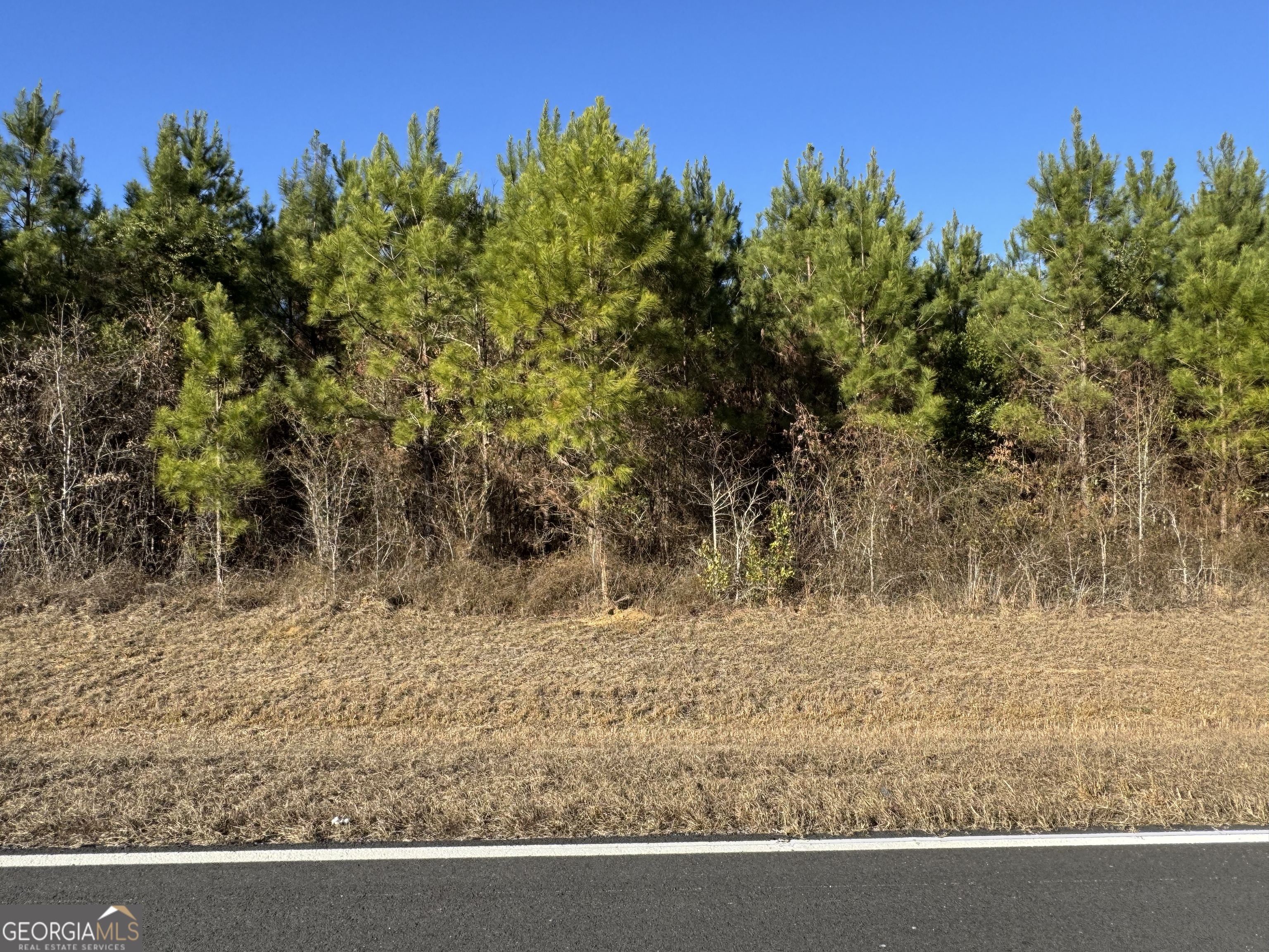 Lot 3a Whitfield Road Elko GA 31025