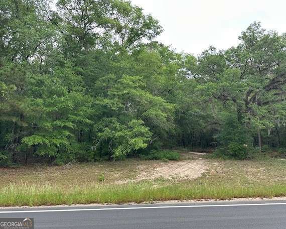 0 Old Louisville Road Guyton GA 31312