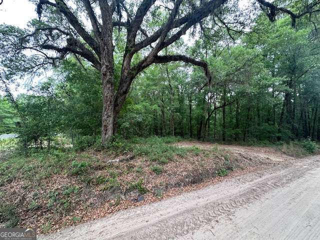 0 Old Louisville Road Guyton GA 31312