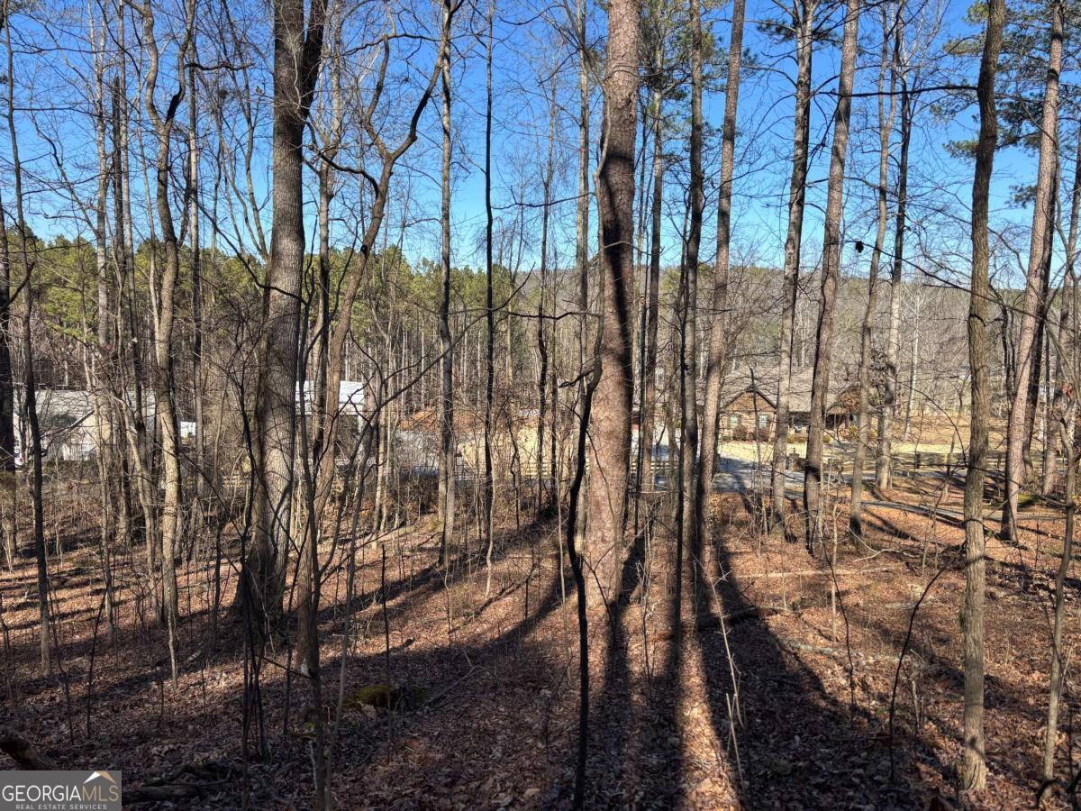 0 Gardner Springs Road Adairsville GA 30103