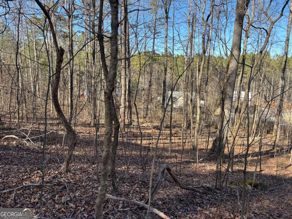 0 Gardner Springs Road Adairsville GA 30103