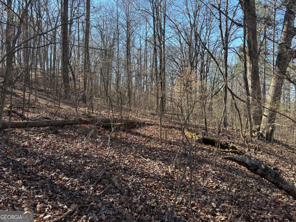 0 Gardner Springs Road Adairsville GA 30103