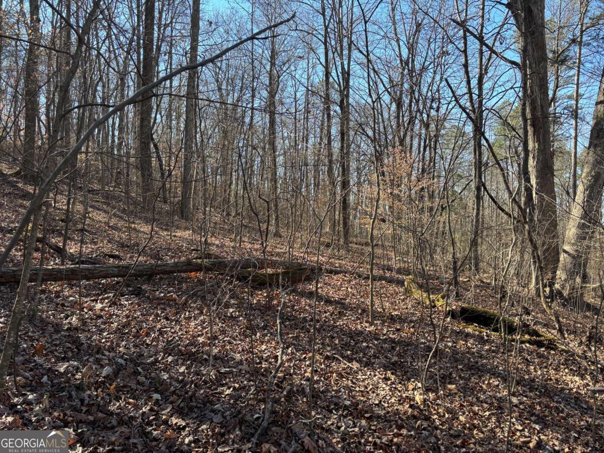 0 Gardner Springs Road Adairsville GA 30103