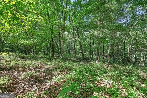 0 Mountain Sweet Drive Clarkesville GA 30523