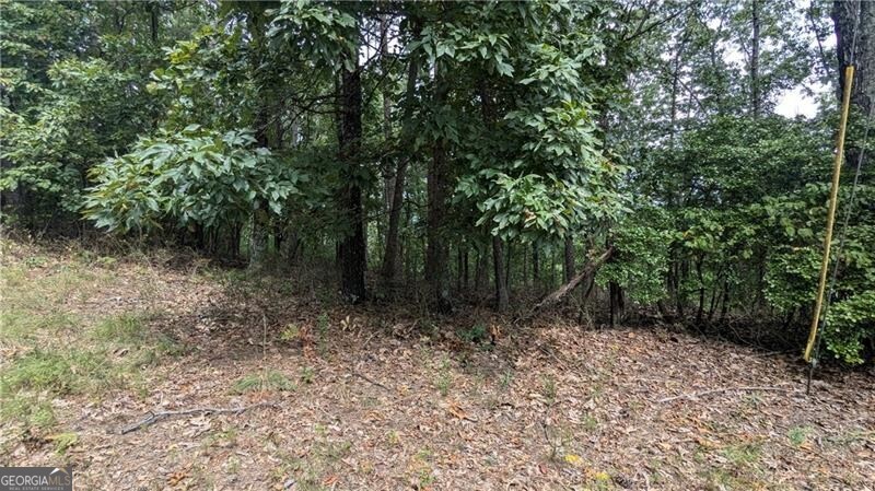 278 Adair Drive NE Ranger GA 30734