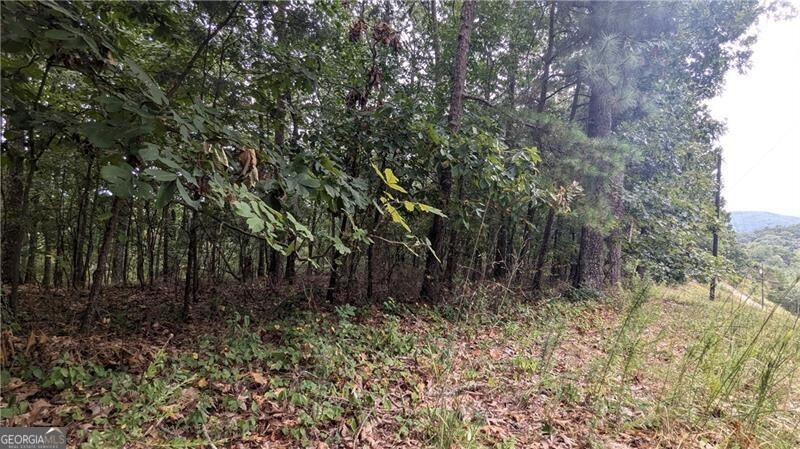 278 Adair Drive NE Ranger GA 30734