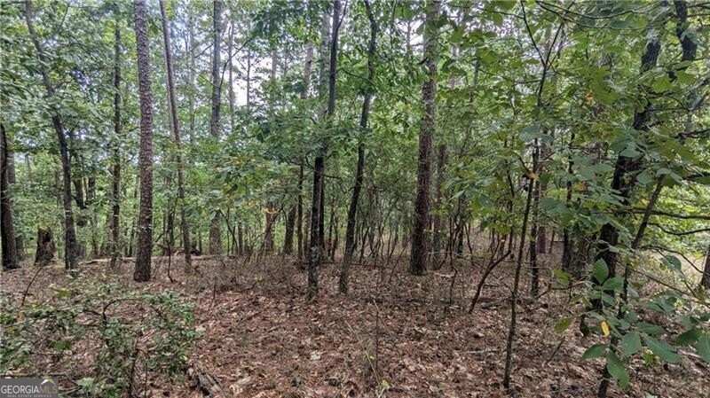 278 Adair Drive NE Ranger GA 30734