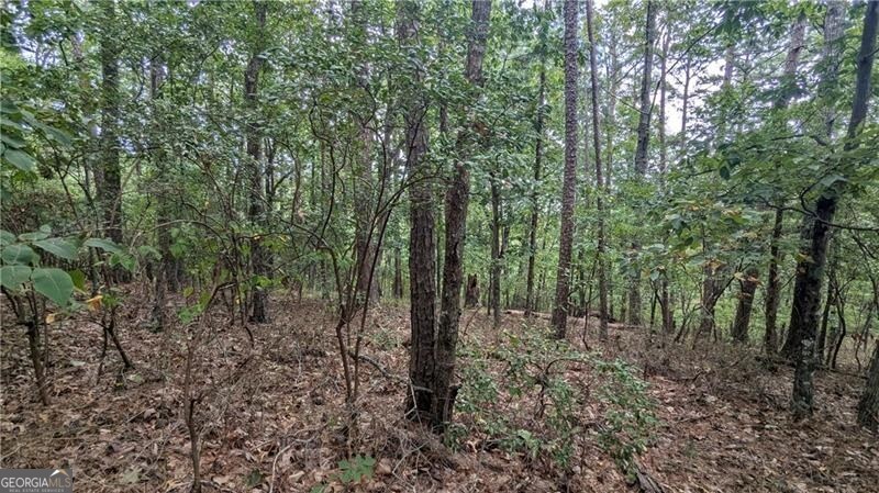 278 Adair Drive NE Ranger GA 30734