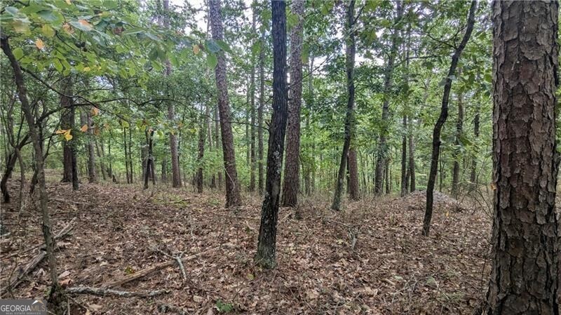 278 Adair Drive NE Ranger GA 30734