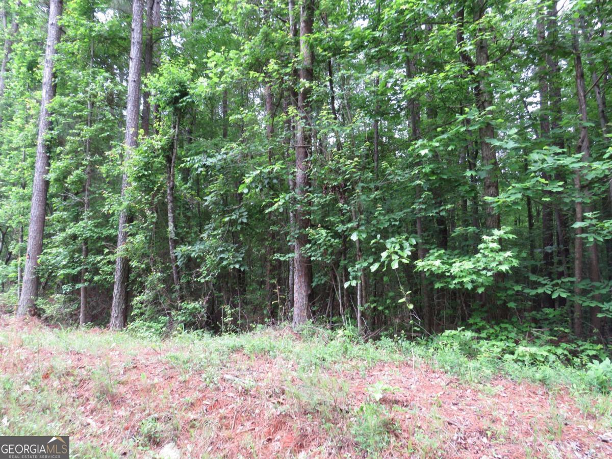 0 Doke Cohran Road Dallas GA 30157