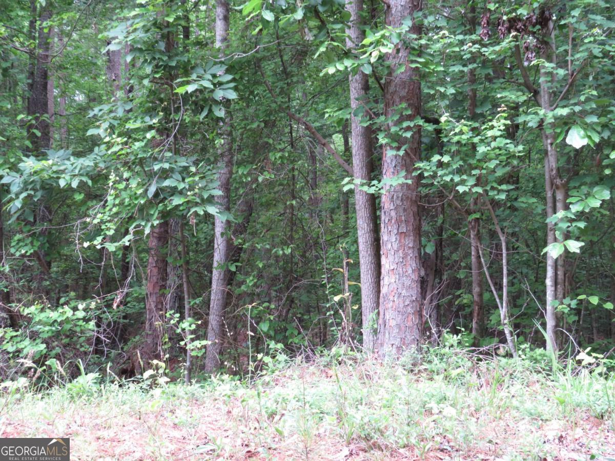 0 Doke Cohran Road Dallas GA 30157