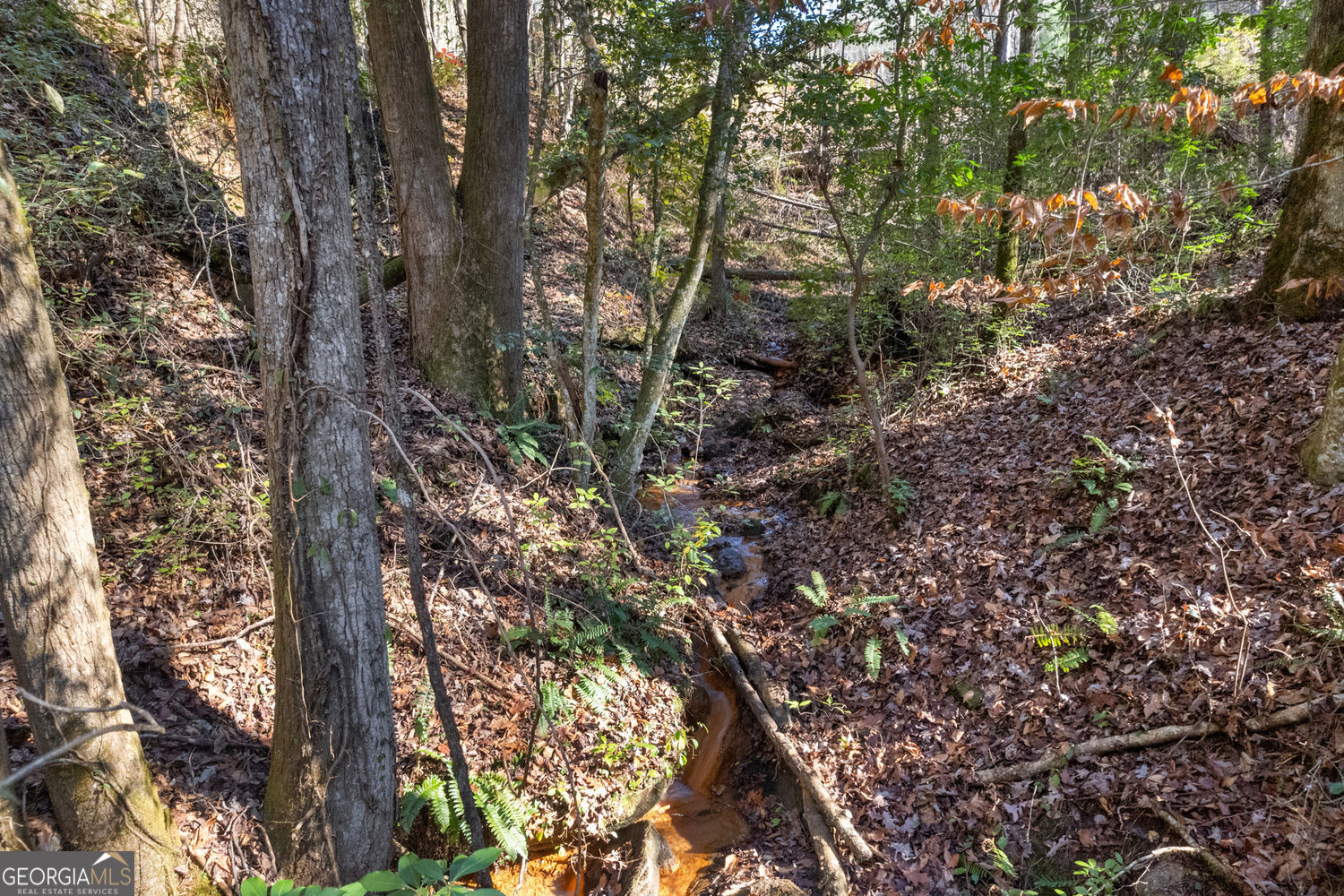 Lot 29 Raven Ridge Road Clayton GA 30525