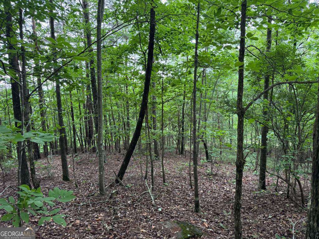 575 Galaxy Way NE Ranger GA 30734
