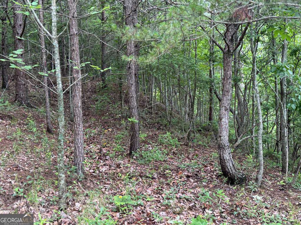 575 Galaxy Way NE Ranger GA 30734
