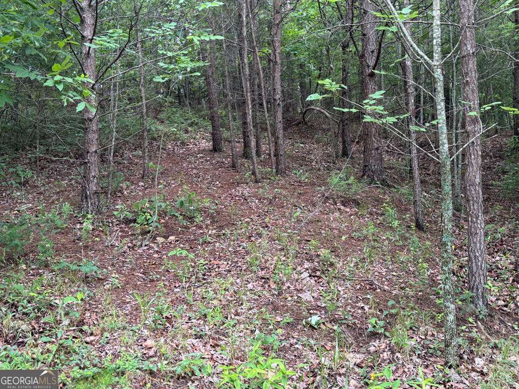 575 Galaxy Way NE Ranger GA 30734