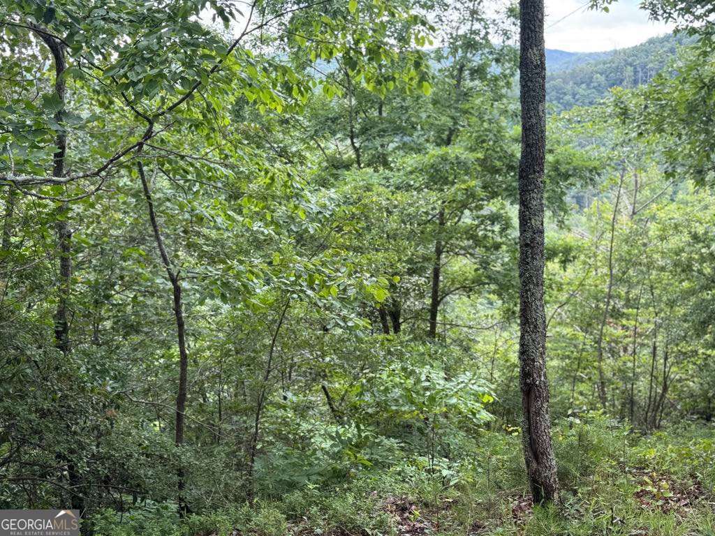575 Galaxy Way NE Ranger GA 30734