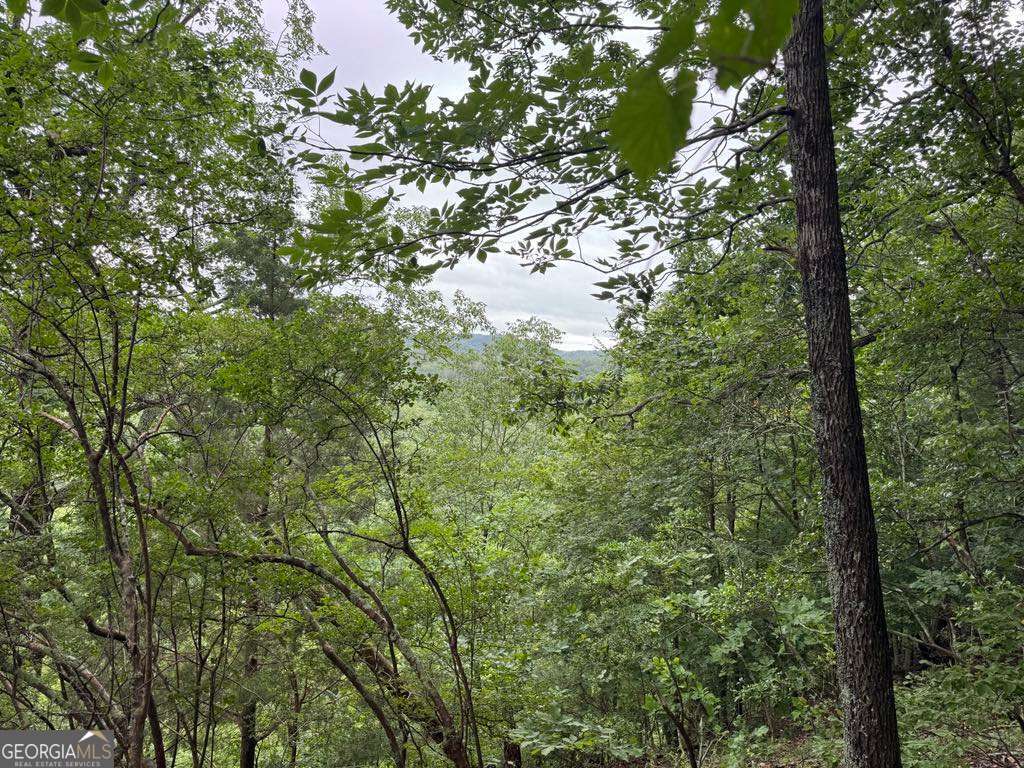 575 Galaxy Way NE Ranger GA 30734
