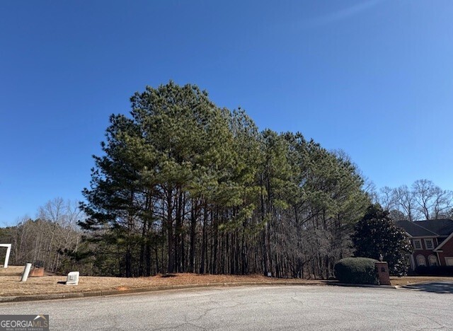 4290 Bronte Lane Douglasville GA 30135
