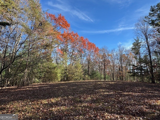 0 John Call Road Ellijay GA 30536