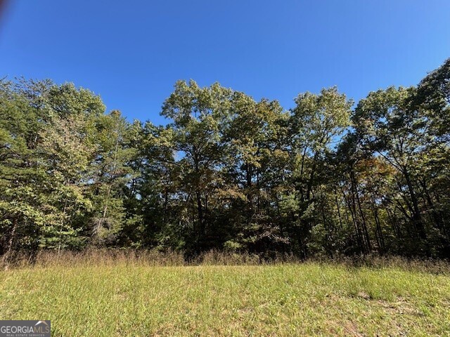 0 John Call Road Ellijay GA 30536
