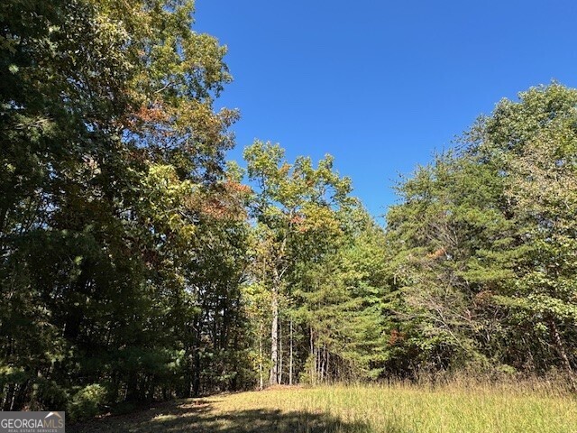 0 John Call Road Ellijay GA 30536
