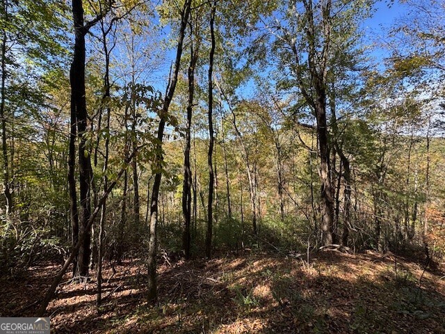 0 John Call Road Ellijay GA 30536