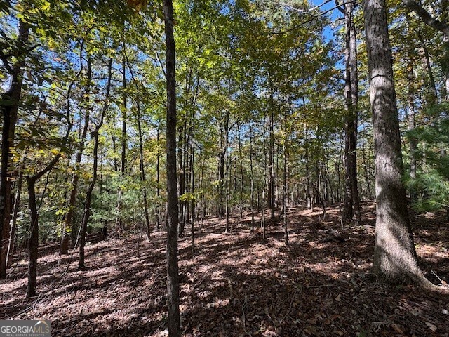 0 John Call Road Ellijay GA 30536