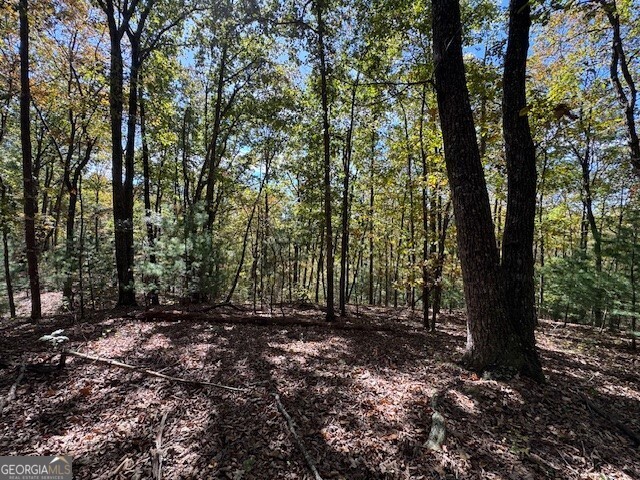 0 John Call Road Ellijay GA 30536