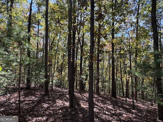 0 John Call Road Ellijay GA 30536