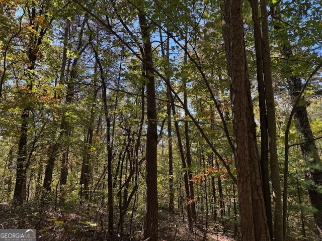 0 John Call Road Ellijay GA 30536