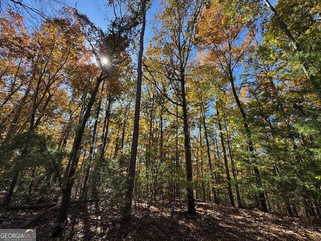 0 John Call Road Ellijay GA 30536