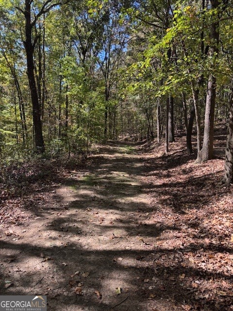 0 John Call Road Ellijay GA 30536