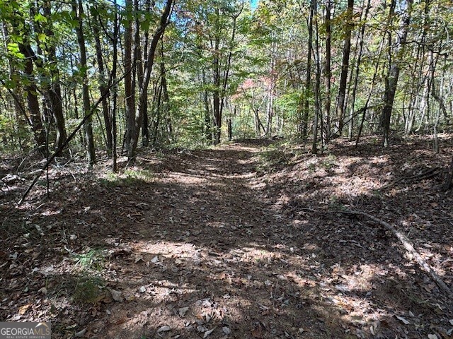 0 John Call Road Ellijay GA 30536