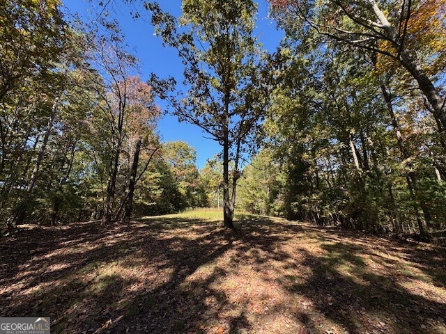 0 John Call Road Ellijay GA 30536