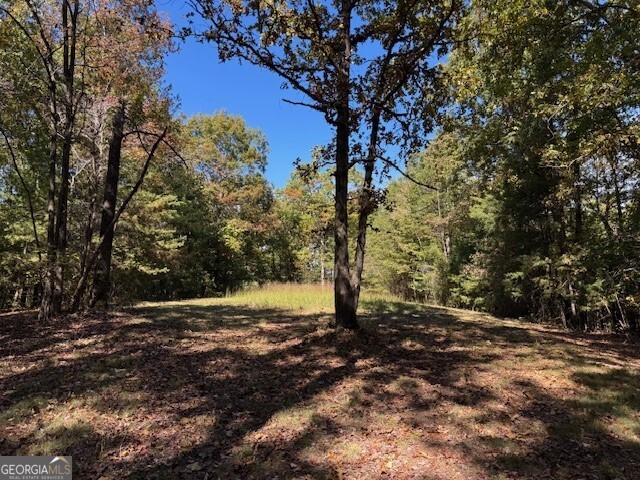 0 John Call Road Ellijay GA 30536