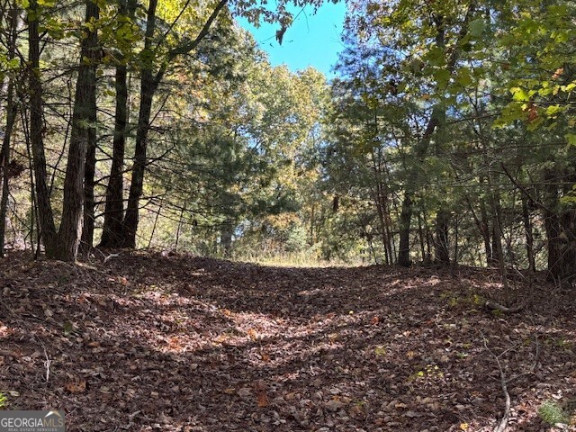 0 John Call Road Ellijay GA 30536