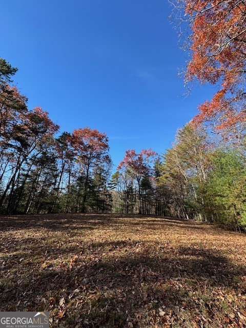 0 John Call Road Ellijay GA 30536