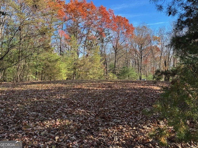0 John Call Road Ellijay GA 30536