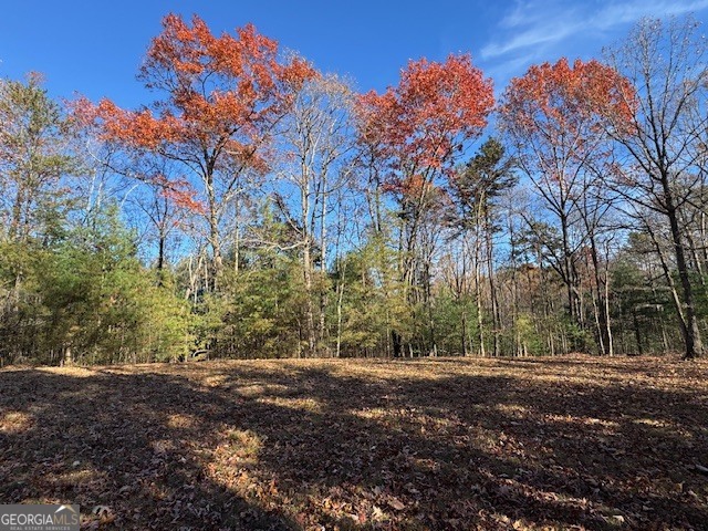 0 John Call Road Ellijay GA 30536