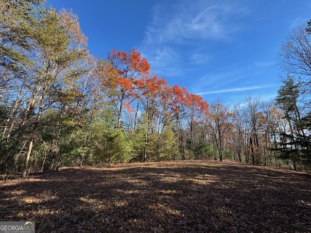 0 John Call Road Ellijay GA 30536