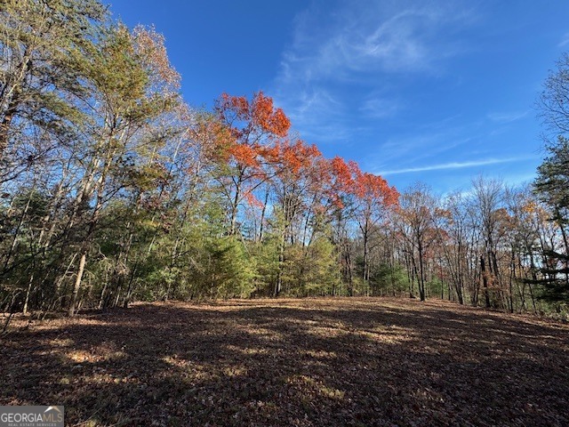 0 John Call Road Ellijay GA 30536