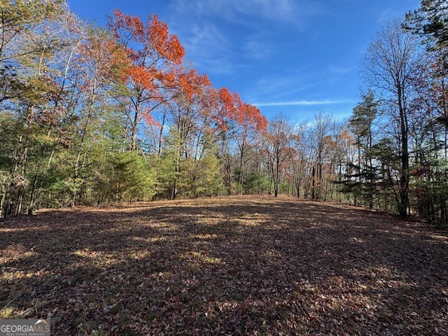 0 John Call Road Ellijay GA 30536