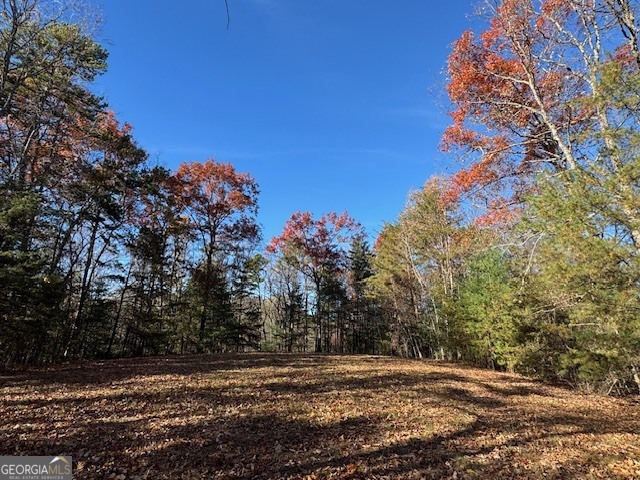 0 John Call Road Ellijay GA 30536